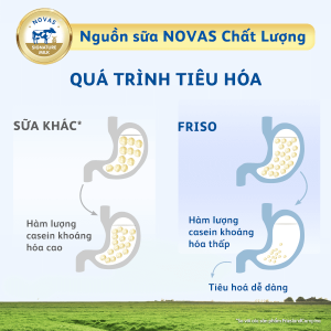 Sữa Friso Gold số 4 850g (2 – 6 tuổi)